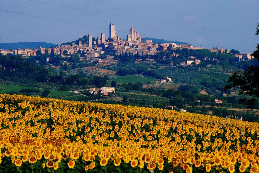 Il Palagione Villa San Gimignano Dış mekan fotoğraf
