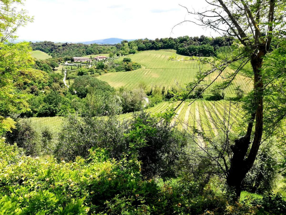 Il Palagione Villa San Gimignano Dış mekan fotoğraf